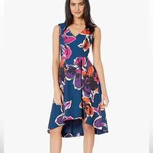 Trina "Fitzgerald" Dress (Size 6)